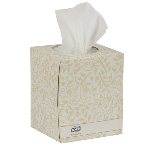 Premium Facial Tissue, Cube Box, 2-Ply,