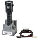 Dualie Rechargeable 12V DC Direct Wire -
